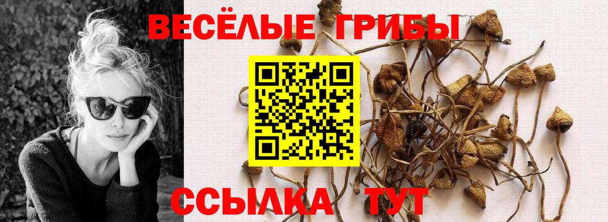 Псилоцибиновые грибы Cubensis  Псилоцибиновые грибы MAGIC MUSHROOMS  Вход с VPN  Ишимбай 
