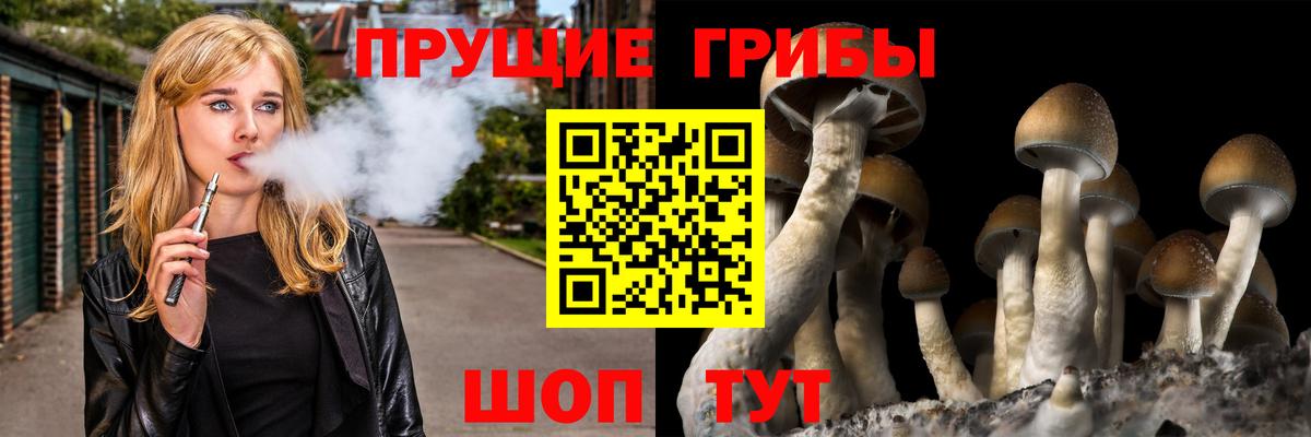 Псилоцибиновые грибы ЛСД Ишимбай